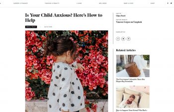 Screenshot of the article from theeverymom.com